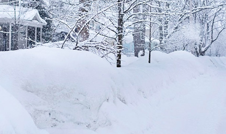 Emergency Preparations for Your Family